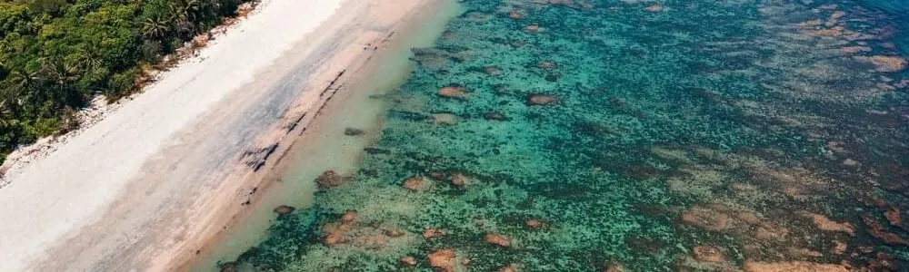 Aerial view of a rainforest-backed beach and fringing reef on the Far North Queensland coast