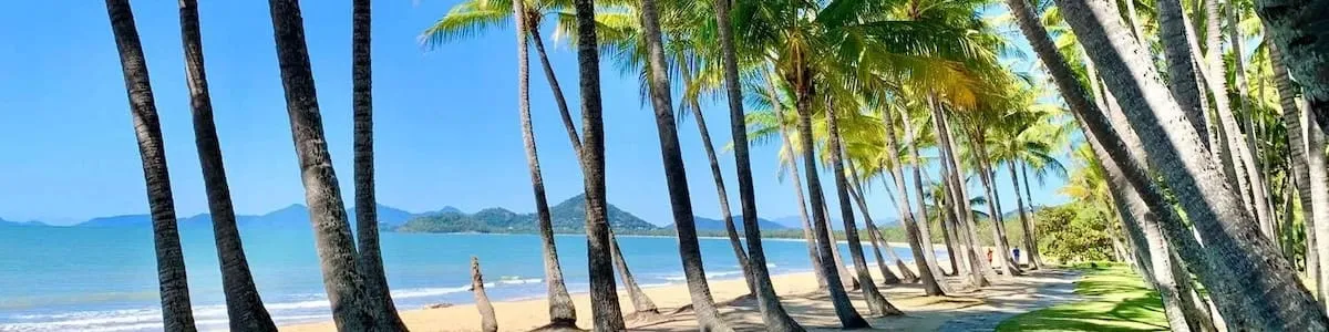 Palms lining the sand at Palm Cove, looking north across the bay to the ranges