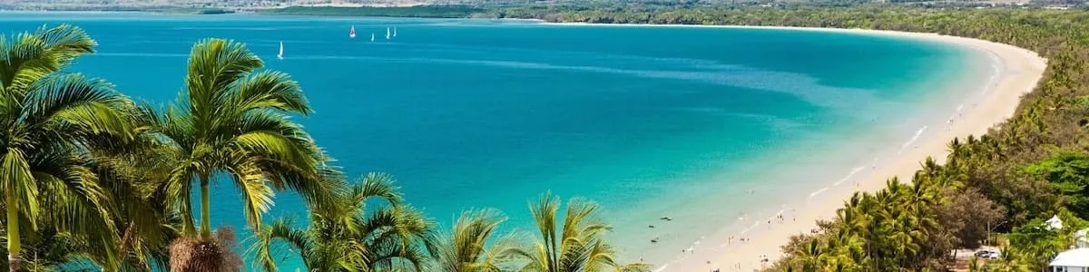 Four Mile Beach at Port Douglas seen from the Flagstaff Hill lookout, palms in the foreground